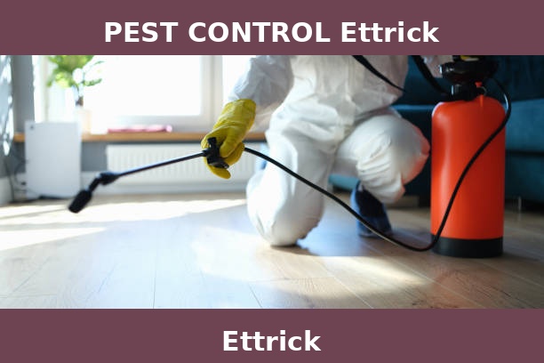 PEST CONTROL Ettrick
